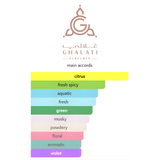 First Impression By Ghalati Eau De Parfum 120 ML (4.08 FL OZ) Unisex